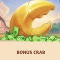 Bonus crab -Twoja szansa na darmowe środki bonusowe