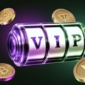 Bonus kasynowy Vip z kryptowalutami w SpinBetter
