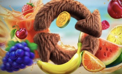 Bonus reload z szansa na 1 600 zł z Bison Casino Bonus reload z szansa na 1 600 zł z Bison Casino