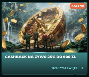 Bonus ze zwrotem gotówki w kasynie PlayIO